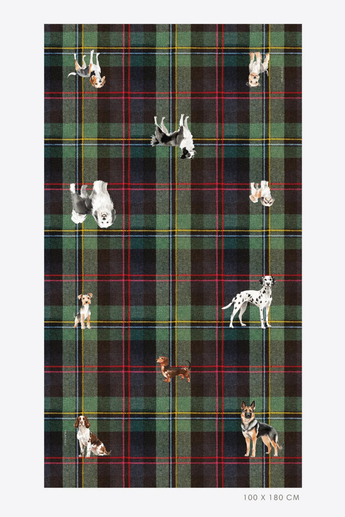 Vilagallo Large DOG Scarf